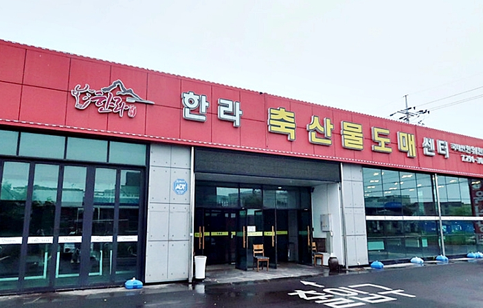  제주시 소고기 맛집 비쥬얼장난아님 