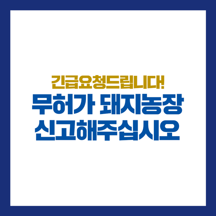  긴급요청 드립니다! 도내 무허가 돼지사육 농장 신고해주십시오