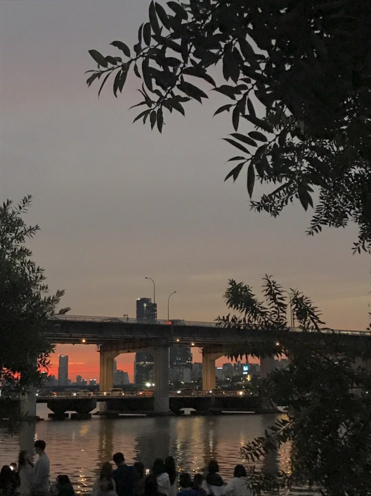  일상