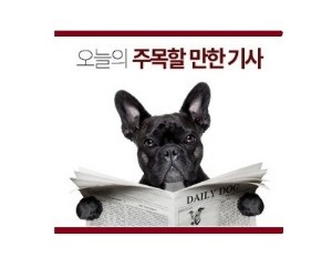  윤석열 어찌할꺼나?--[PD수첩] '장관과 표창장