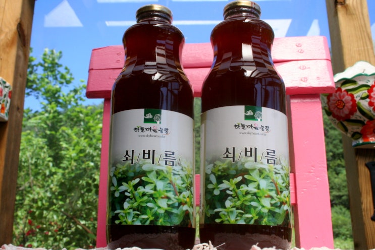  쇠비름효소는 재료를 어디서 채취했느냐가 중요해요.