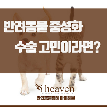  부산강아지장례 아이헤븐과 알아보는 '반려동물중성화'