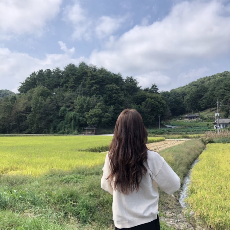  강원도 강릉 카페, 자연과 시간을 보낼 수 있는 팜크닉/피크닉 강릉 카페 르꼬따쥬 (Le cottage, Lifestyle farm)