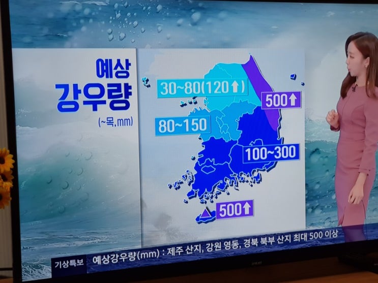  가을태풍 미탁의 지나가는빗소리와흔적