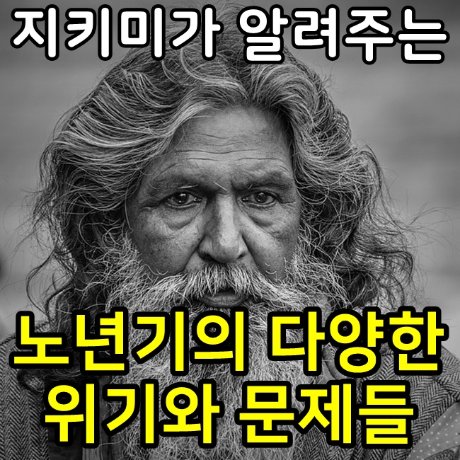  노년기의 다양한 위기와 문제들