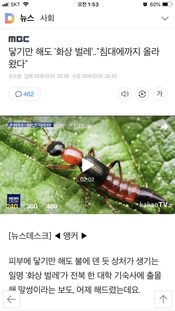  닿기만 해도 화상 벌레••••침대에까지 왔다