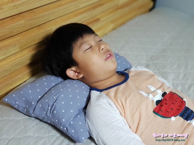  수니홈 바른베개 경추베개 역할을 톡톡히 하네요