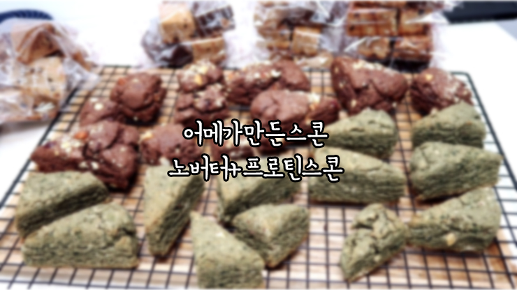  노버터스콘 바삭한 프로틴스콘 만들기(by 어메스콘)