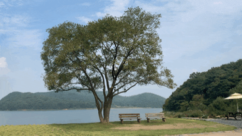 대천카페추천_블루레이크 청호(Blue lake) 대천카페추천_블루레이크 청호(Blue lake)