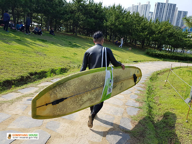  [내남자의 서핑이야기] 부산 다대포 서핑 낙동강 수문 개방 백로출현 (20190608) 입수 40회차