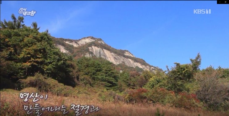  6시 내고향 고향밥상 생달리 약밥상  방송 이야기