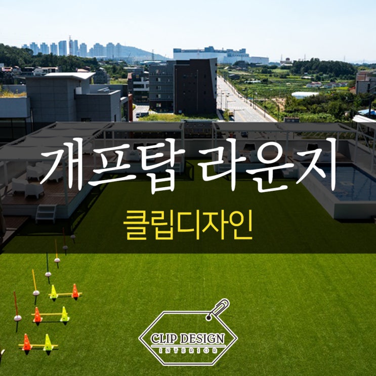  애견카페인테리어 청주 개프탑라운지