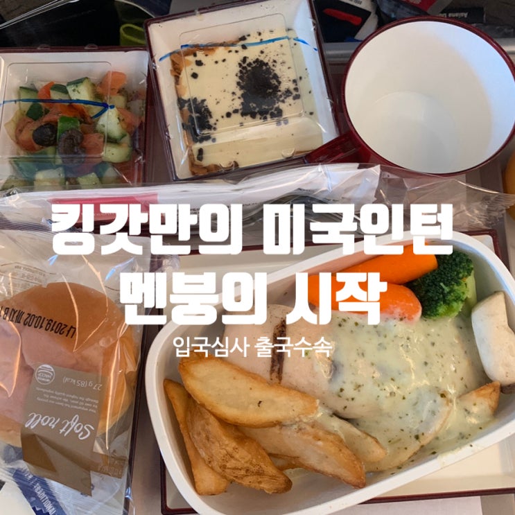  킹갓만의 미국인턴 멘붕의 시작, 미국으로 떠나요! (출국수속, 입국심사질문)