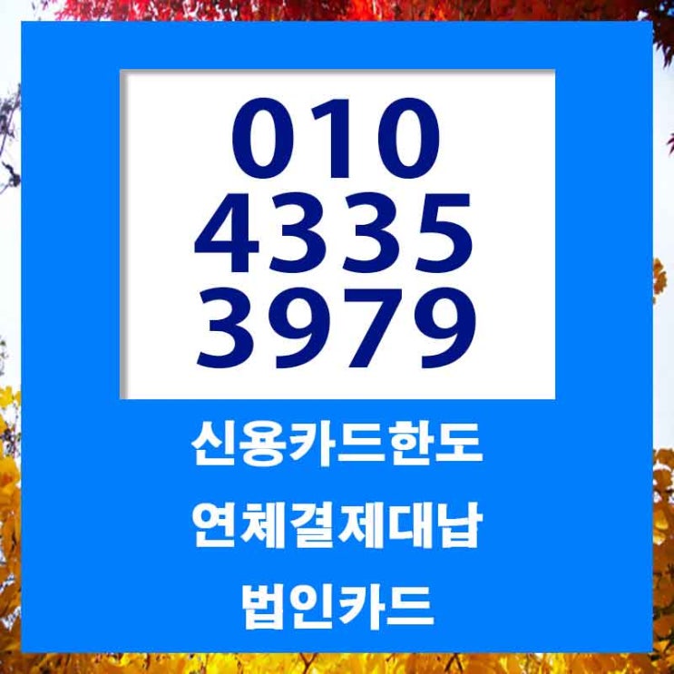  시흥카드대납대출 꼭 참고하세요