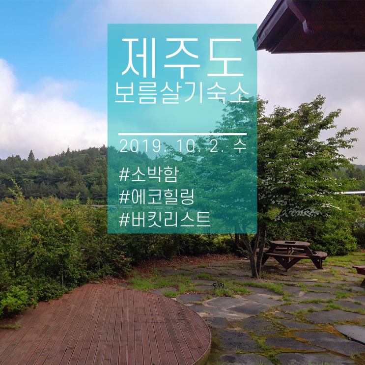  제주도 보름살기 숙소 지내면서 있었던 저의 소소한 추억