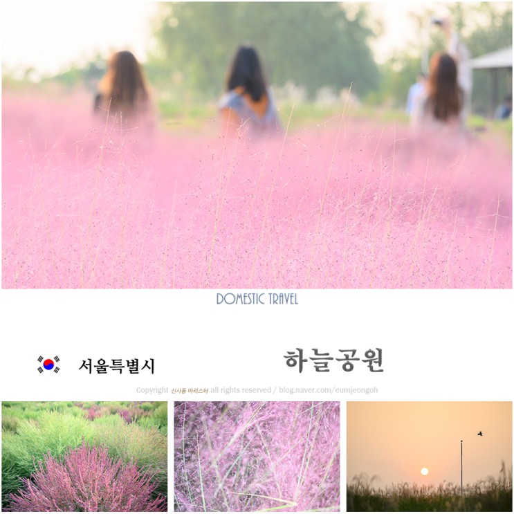 서울 데이트 코스 하늘공원은 핑크뮬리가 활짝~(억새축제 정보)