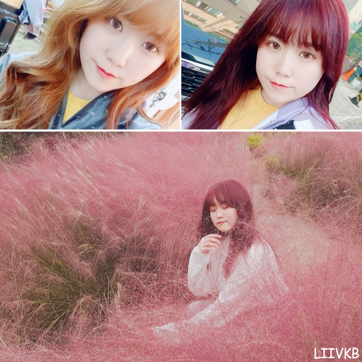  수진역 미용실 바나 헤어에서 퍼플 염색했어요