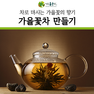  가을꽃차 만들기 : 차로 마시는 가을꽃의 향기