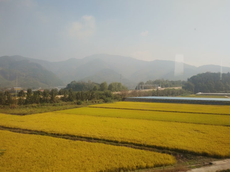  오늘 운세 2019년 10월 3일 목요일 - 사랑과 신뢰