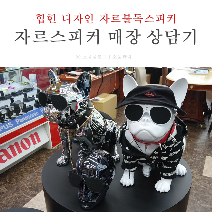  자르스피커 할인매장 전자랜드 용산점 힙한 자르불독스피커 청음후기