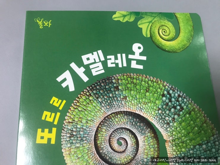  대구어린이서점 21세기서점 놀라운자연 카멜레온 이랑 놀자 !