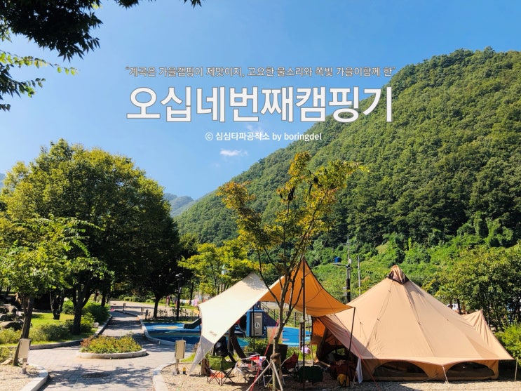  #54 가을캠핑의 절정에 이른 오십네번째 캠핑(feat 첫 군밤개시)