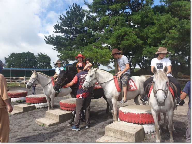  제주도 관광버스 여행 추천합니다.