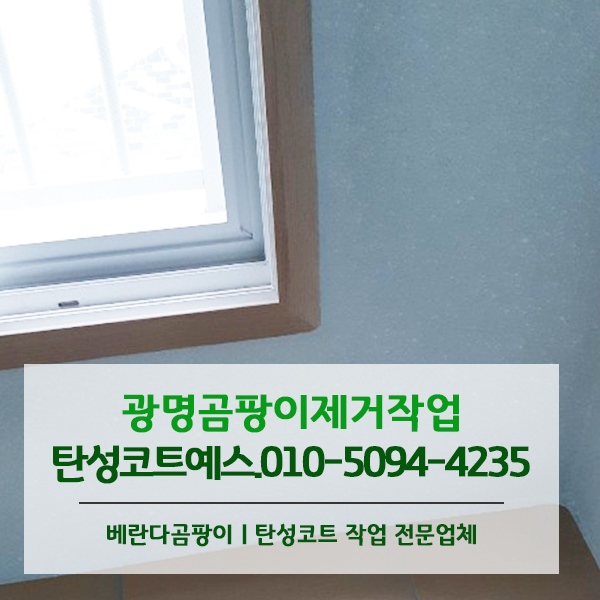  광명곰팡이제거 작업으로 결로, 곰팡이, 단열 한번에 잡으세요!