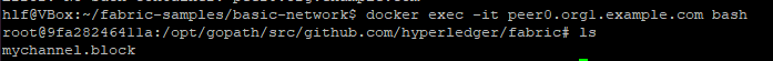 [hyperledger] 도커 컨테이너 폴더 확인 명령어 docker exec -it peer0.org1.example.com bash