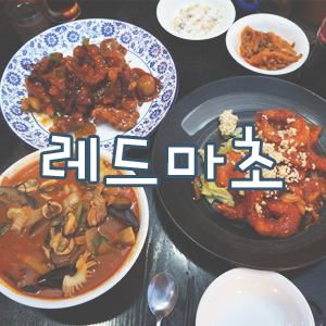  유성온천역 맛집, 대전 중식당 레드마초 회식 꼬우!