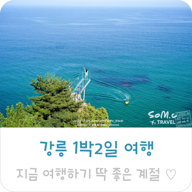  강릉 1박2일 여행, 가볼만한곳, 맛집, 카페, 여행하기 딱 좋은 계절 