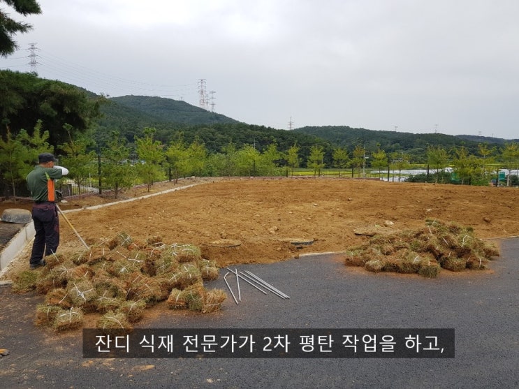  천안시 동남구 동면 공장 준공용 조경 공사(공장 준공용 나무)