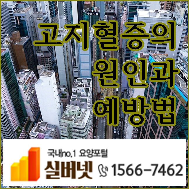  고지혈증의 원인과 예방법