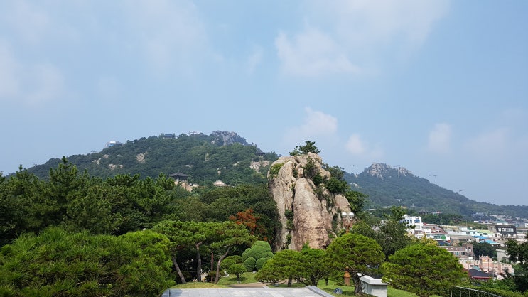  [8월 목포 1박 2일 여행] (2019. 8. 17 버스시티투어)
