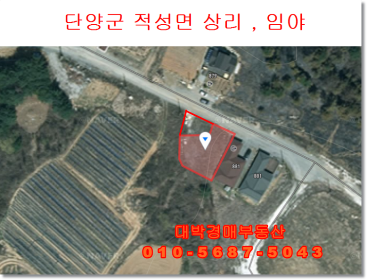  충북경매 단양 적성면 상리 임야경매 대박경매부동산