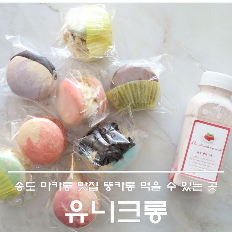  송도 마카롱 맛집 뚱카롱 먹고 싶다면 유니크롱