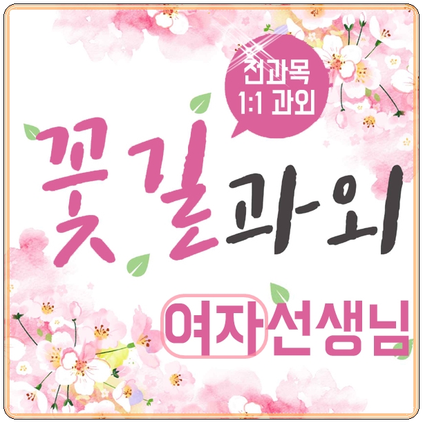  고등학생과외 고운동 아름동 고등영어 이과수학과외 도담동 입시학원 영수단과 세종예고 내신
