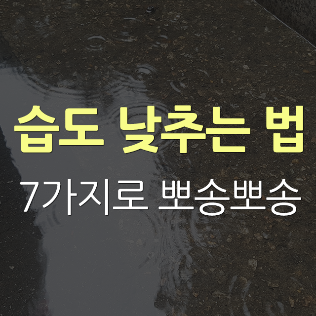  습도 낮추는 법 7가지 집에서 지금 당장 할 수 있는 방법 모음