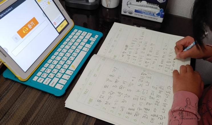  초등1학년받아쓰기 와이즈캠프로 대비해요