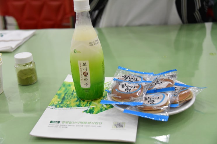  영광찰보리 국내여행 ~영광e모빌리티엑스포  보리올 체험하고 견학!