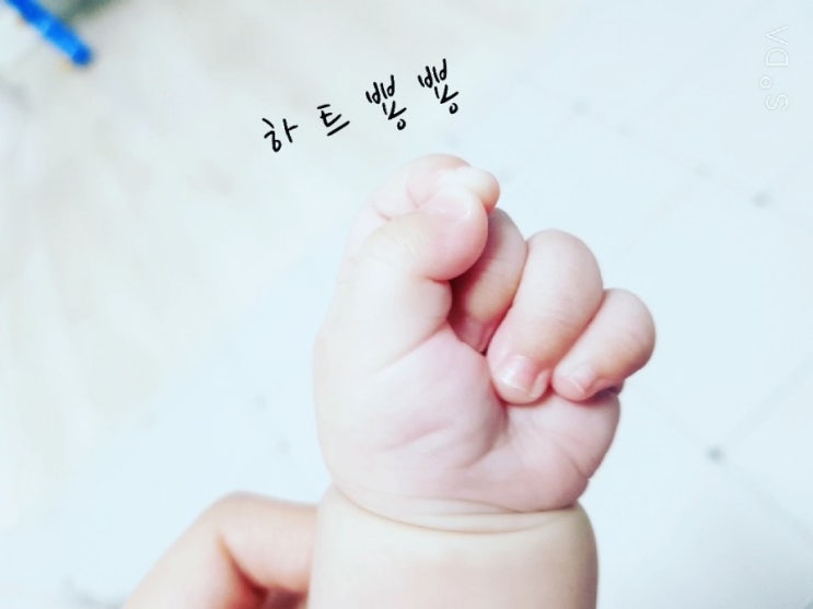  6개월아기일상 + 남매일기(feat.장염)