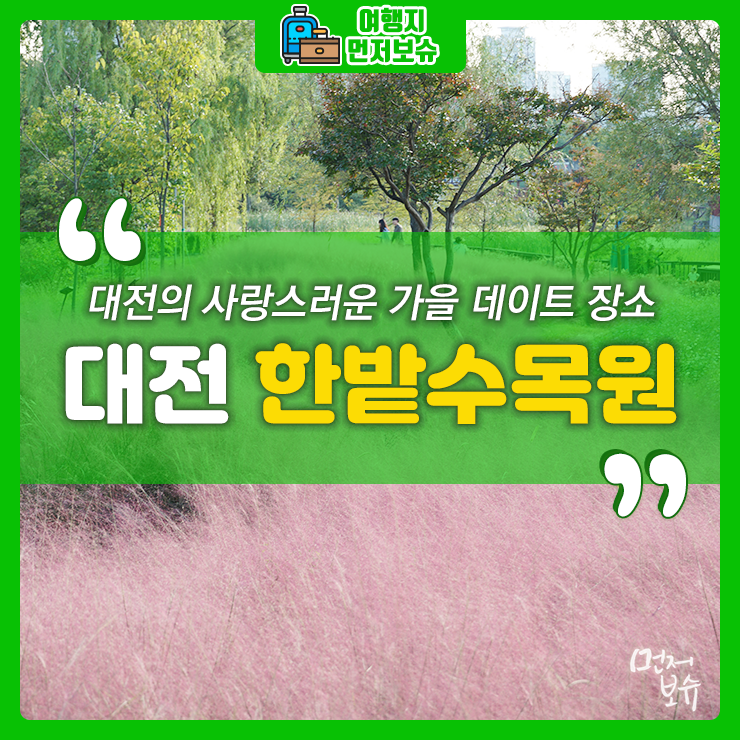 대전 데이트 장소 한밭수목원에서 핑크 뮬리와 함께 인생 샷 어떠세요?