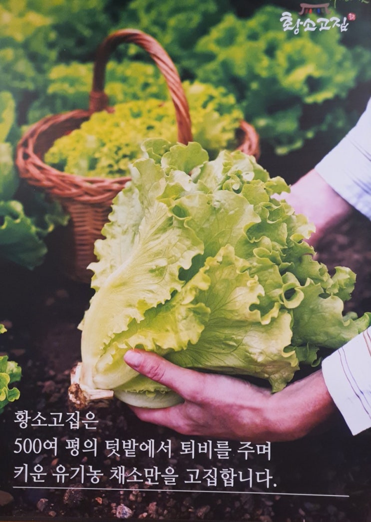 청주오창맛집 숯불구이한정식 집으로~GO 유명한"오창황소고집"모임장소로도 좋아요 청주오창맛집 숯불구이한정식 집으로~GO 유명한"오창황소고집"모임장소로도 좋아요