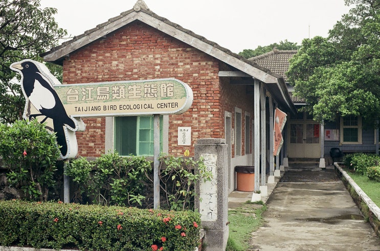  그린터널 주변, 시간떼우기대만/타이난 자유여행 [2019/05/07]