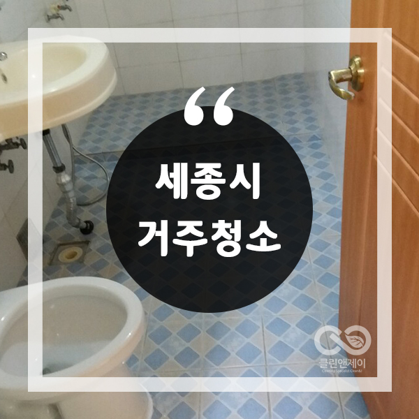  세종거주청소 묵은때 이제 안녕~