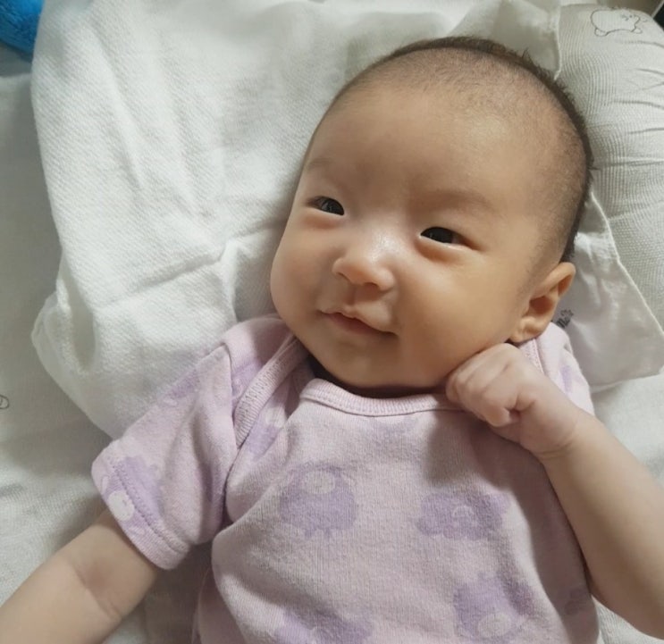  [생후8주]삶의 퀄리티가 높아지게 한 노발락AR 후기 + 체중 늘리기