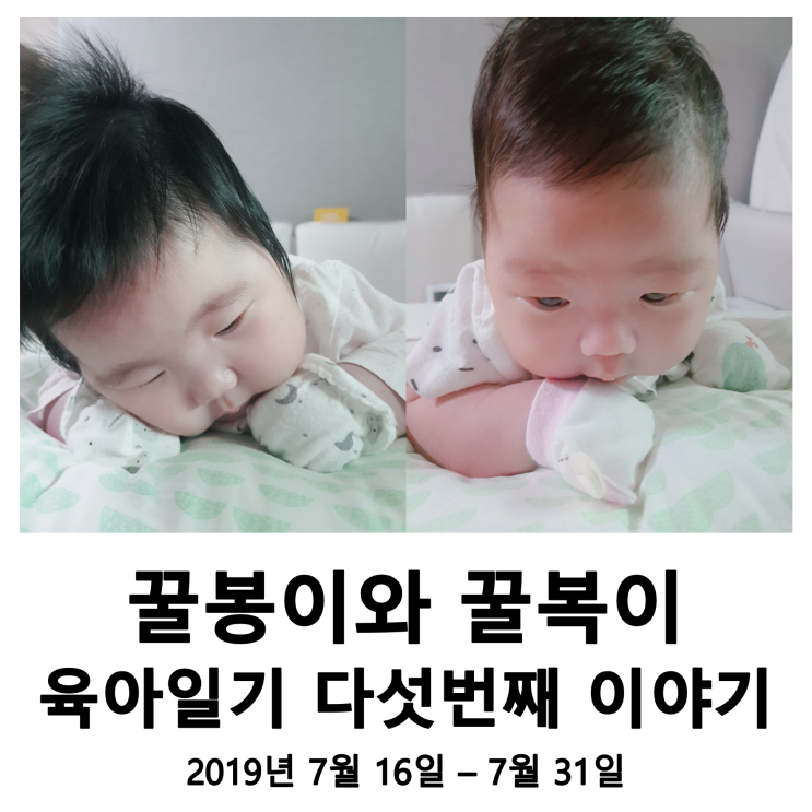 꿀꿀이네 육아일기 05 - 잘 자라는 우리 둥이들