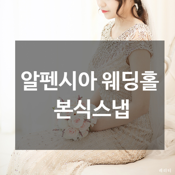  [전주 본식스냅] 전주 알펜시아 예식장 스냅사진 #레리티사진관