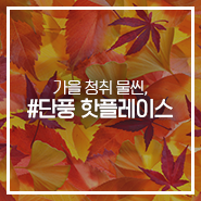  가을 청취 물씬, 단풍 시기 및 전국 단풍 핫플레이스 4