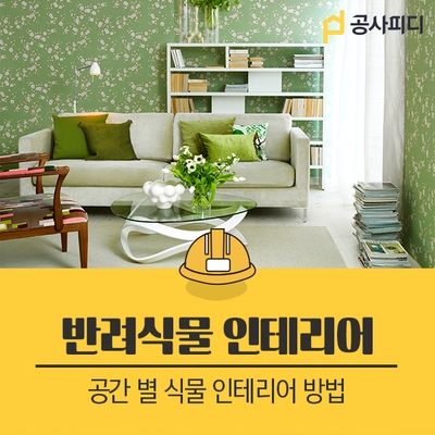  반려식물 인테리어 공간 별 알맞은 식물인테리어 추천